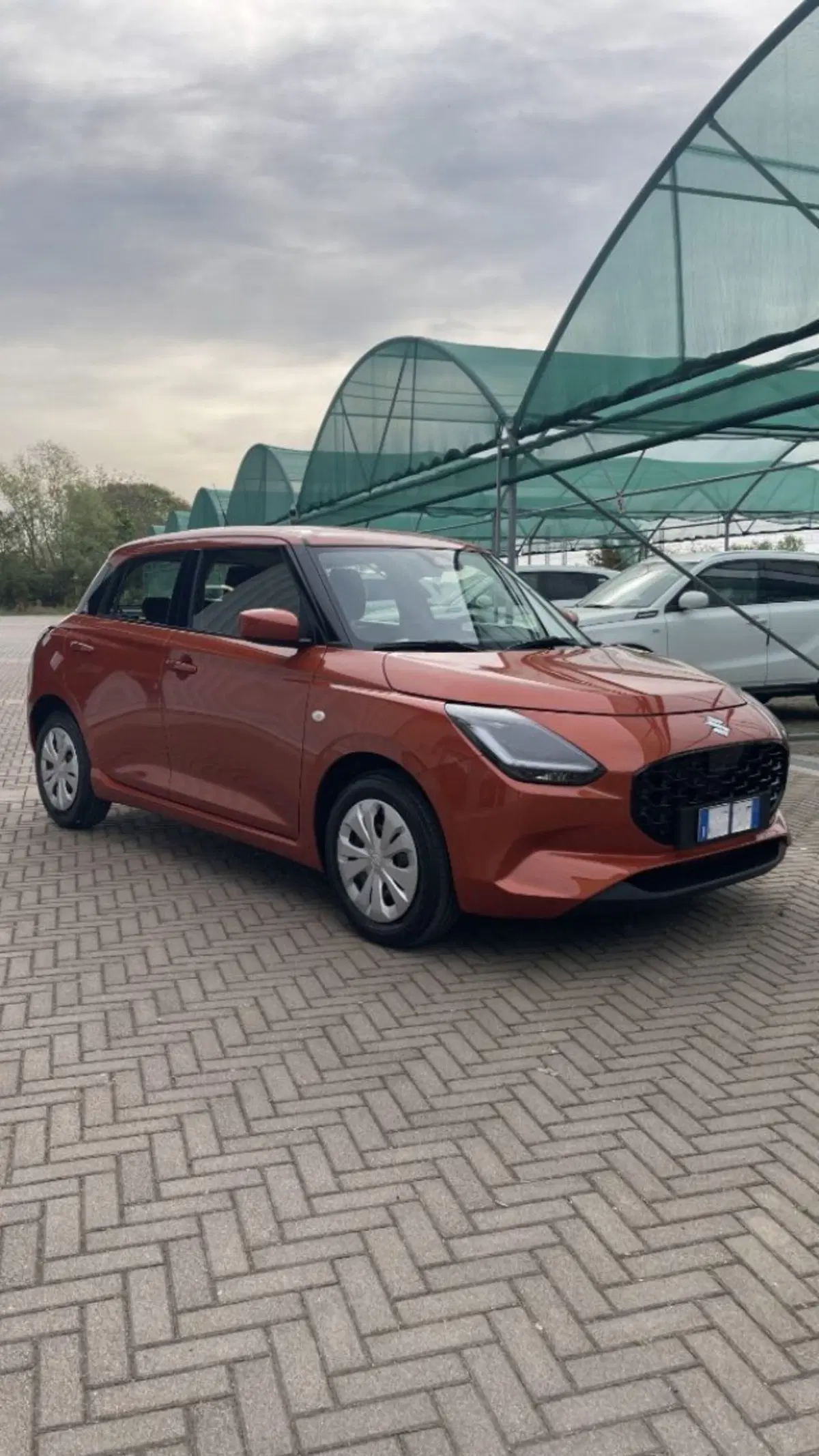 Suzuki Swift nuova a Novara (3)