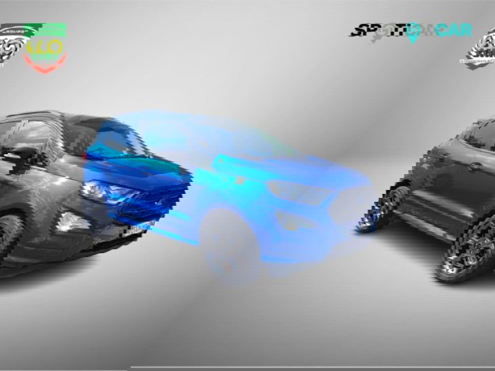 Ford EcoSport usata a Frosinone (3)