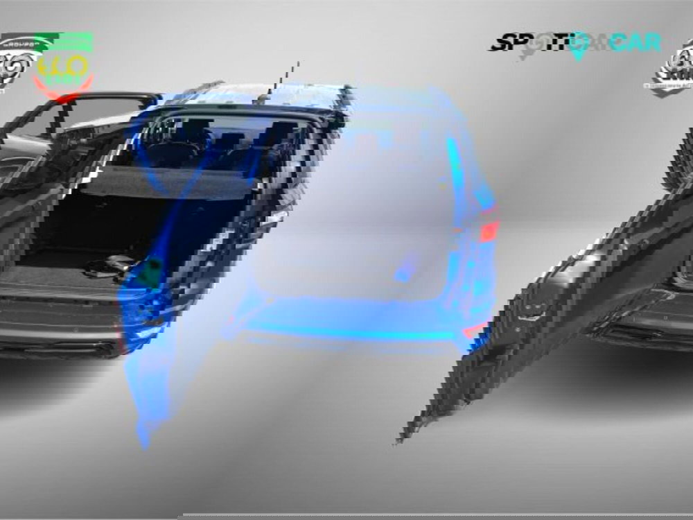 Ford EcoSport usata a Frosinone (9)