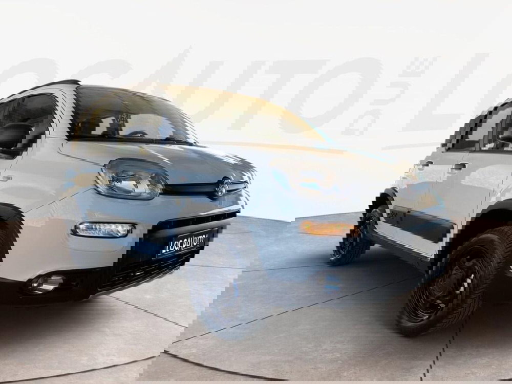 Fiat Panda usata a Torino (3)