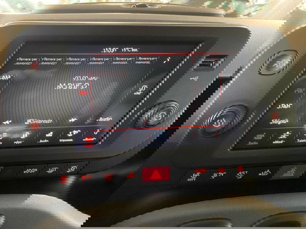 Fiat Panda usata a Torino (10)