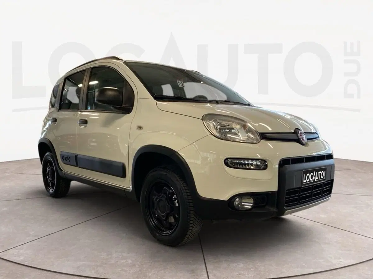 Fiat Panda usata a Torino (3)
