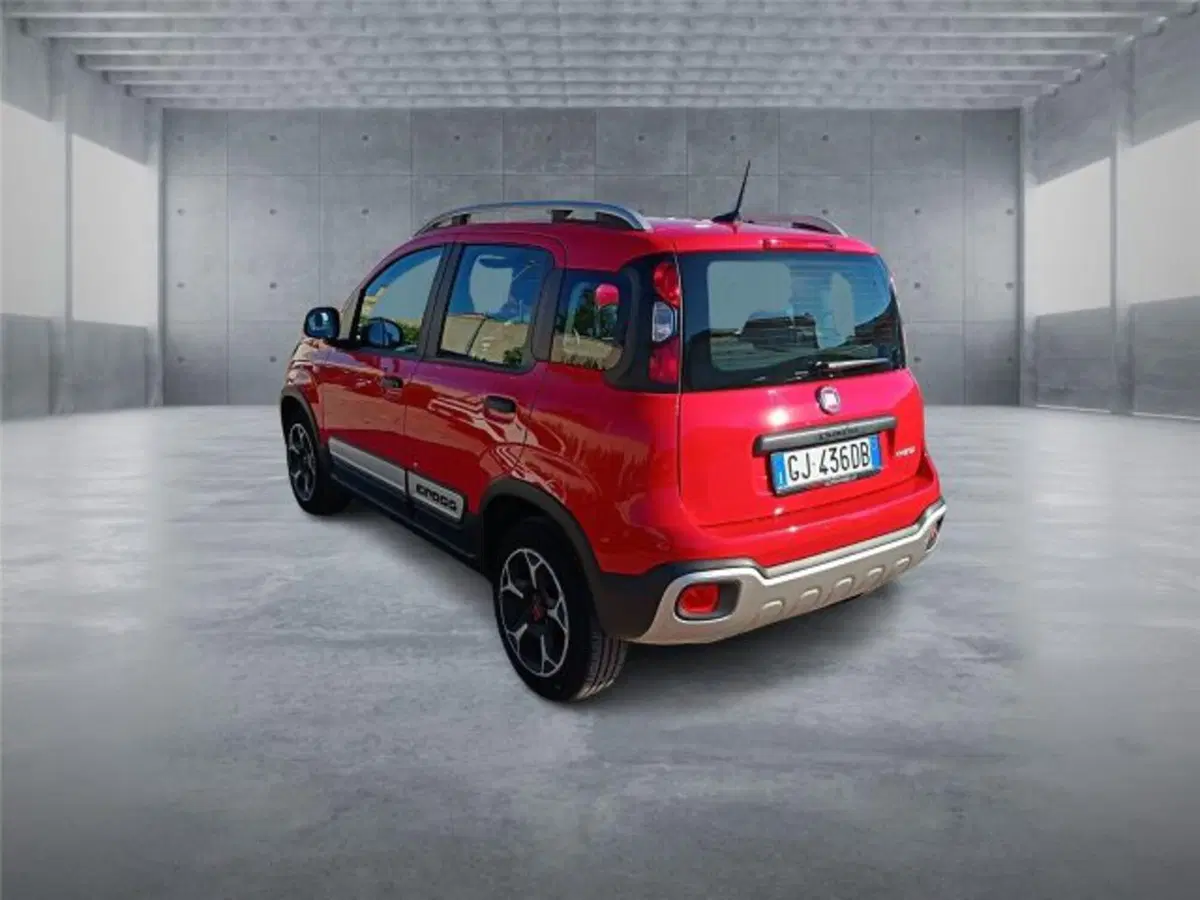 Fiat Panda Cross usata a Bari (4)