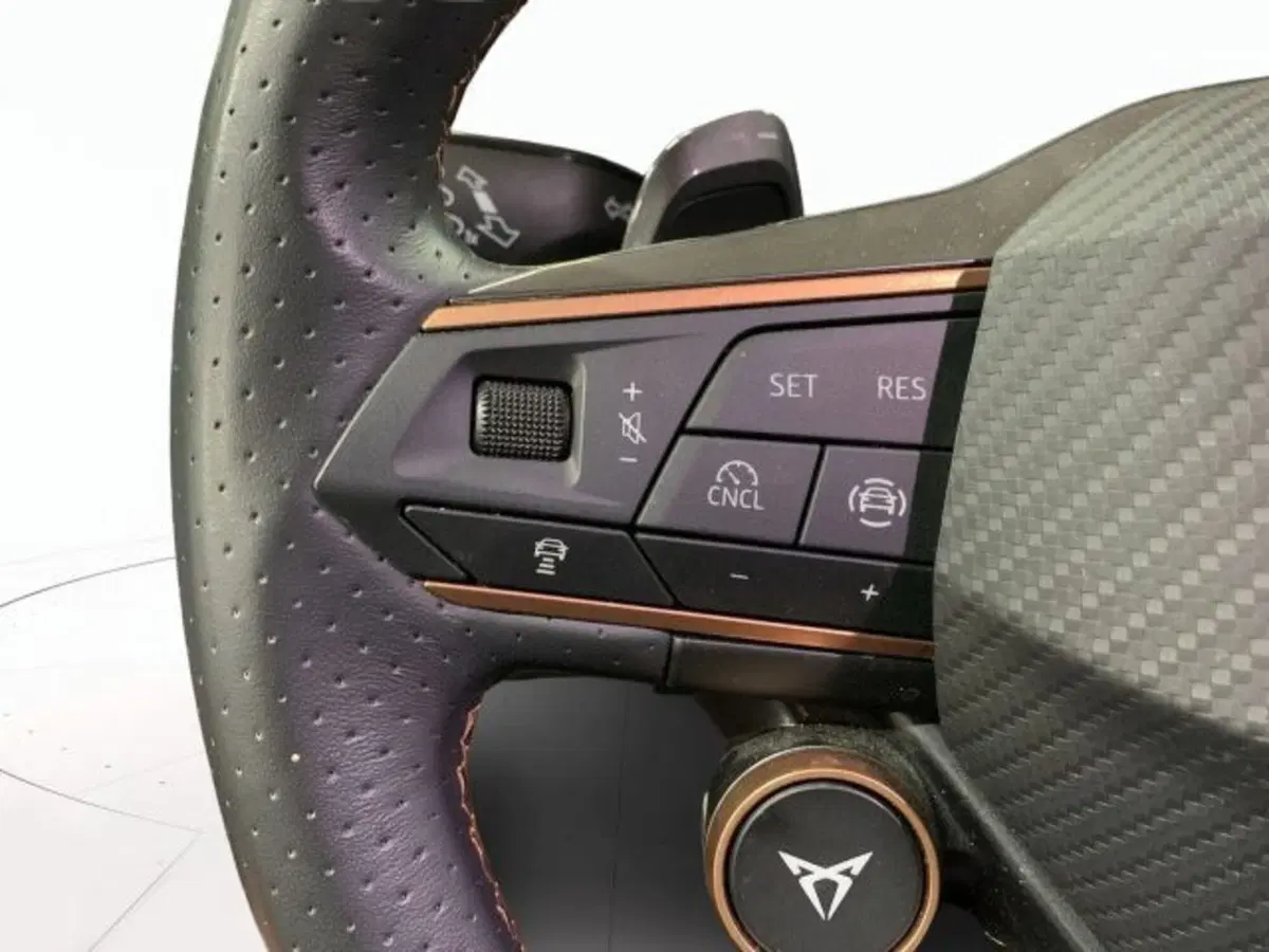 Cupra Formentor usata a Vicenza (12)