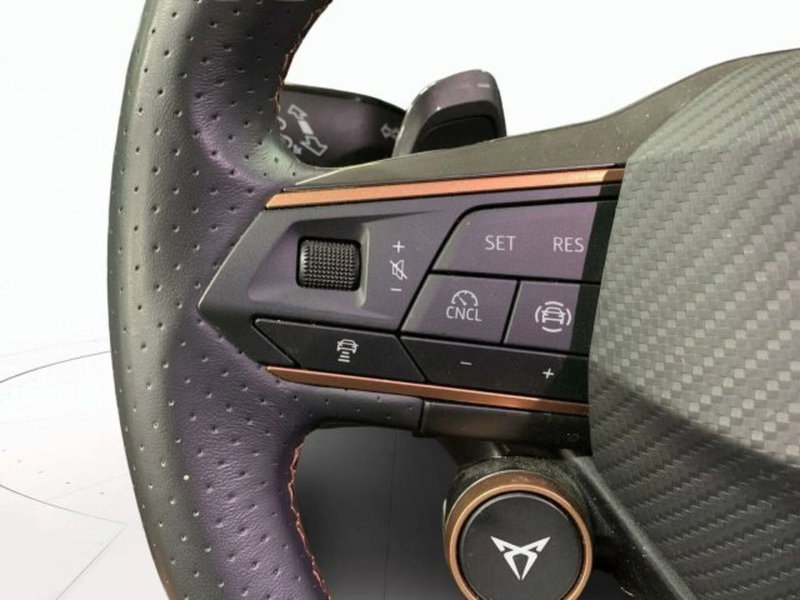 Cupra Formentor usata a Vicenza (12)