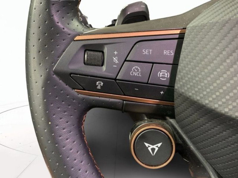 Cupra Formentor usata a Vicenza (13)