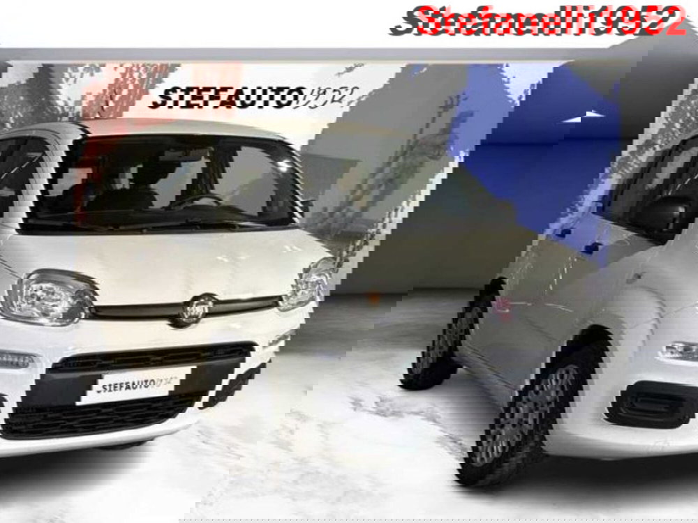 Fiat Panda usata a Bologna