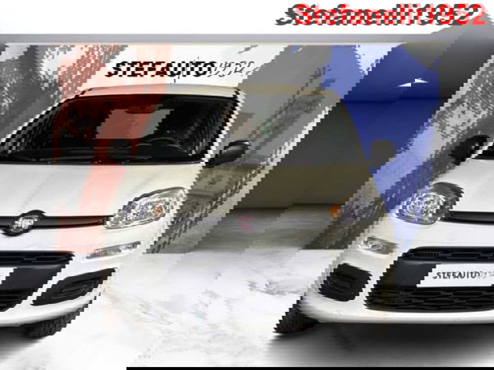 Fiat Panda usata a Bologna (2)