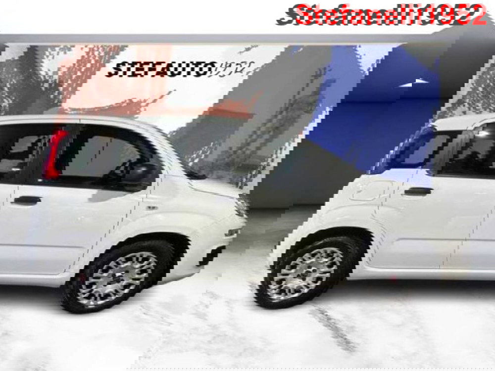 Fiat Panda usata a Bologna (3)