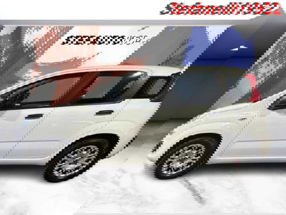 Fiat Panda usata a Bologna (4)