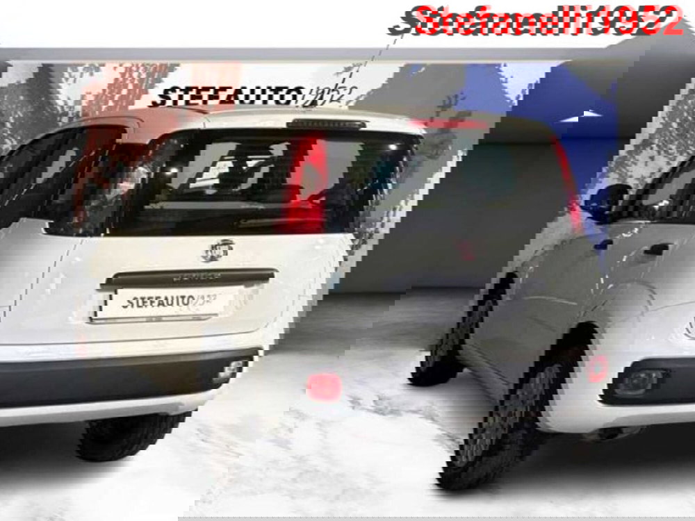 Fiat Panda usata a Bologna (5)