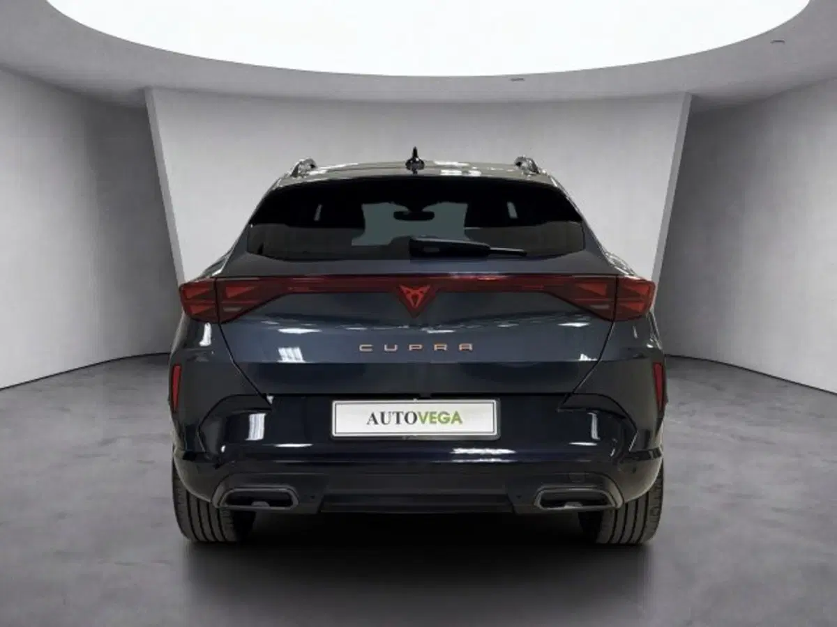 Cupra Formentor usata a Vicenza (5)
