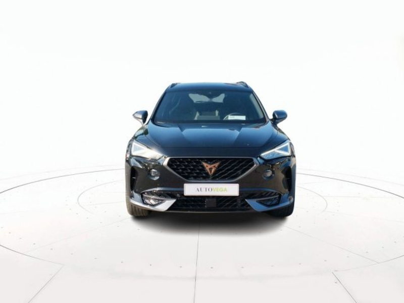 Cupra Formentor usata a Vicenza (2)