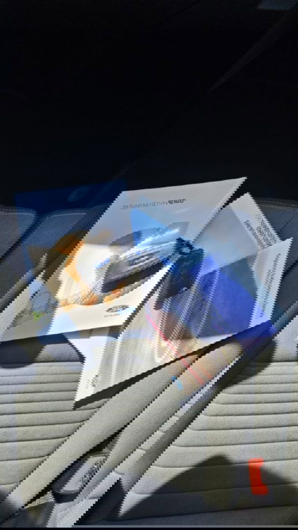 Ford Tourneo Custom usata a Lucca (10)