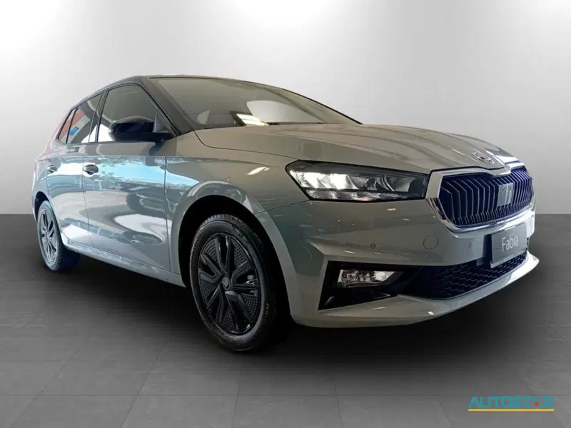 Skoda Fabia nuova a Piacenza (3)
