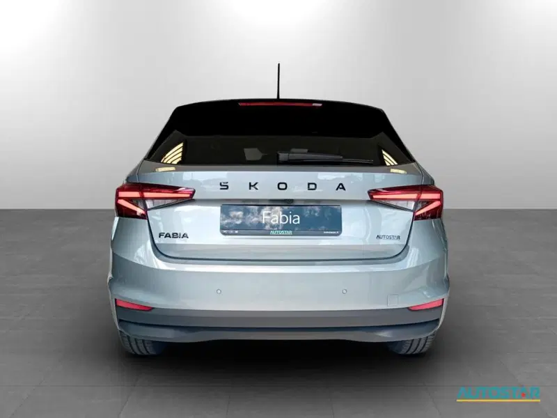 Skoda Fabia nuova a Piacenza (5)