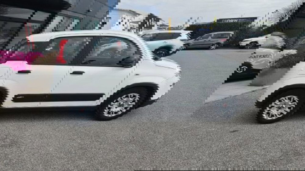 Fiat Panda usata a Lucca (3)