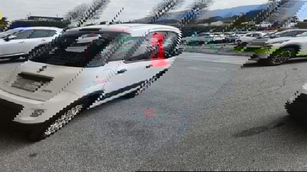 Fiat Panda usata a Lucca (4)