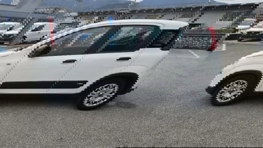 Fiat Panda usata a Lucca (7)