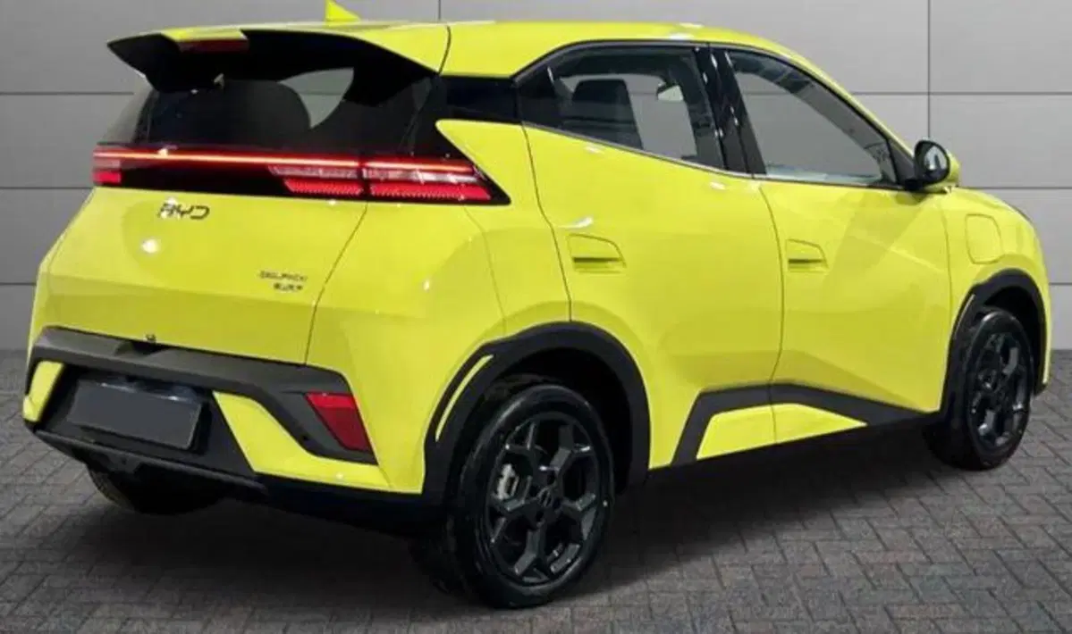 Byd Dolphin Surf usata a Bologna (3)