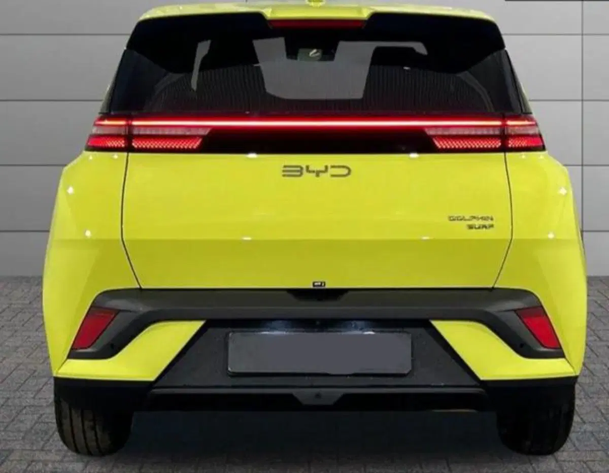Byd Dolphin Surf usata a Bologna (4)
