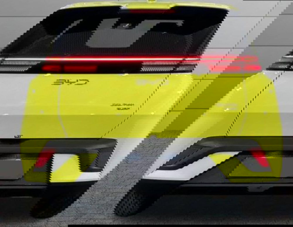 Byd Dolphin Surf usata a Bologna (4)