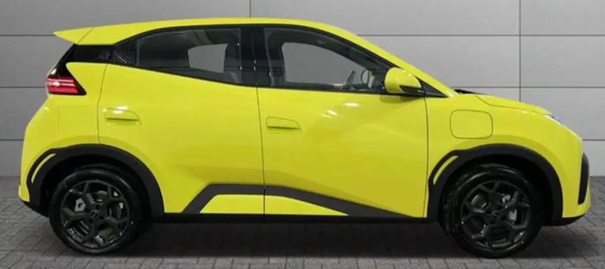 Byd Dolphin Surf usata a Bologna (5)
