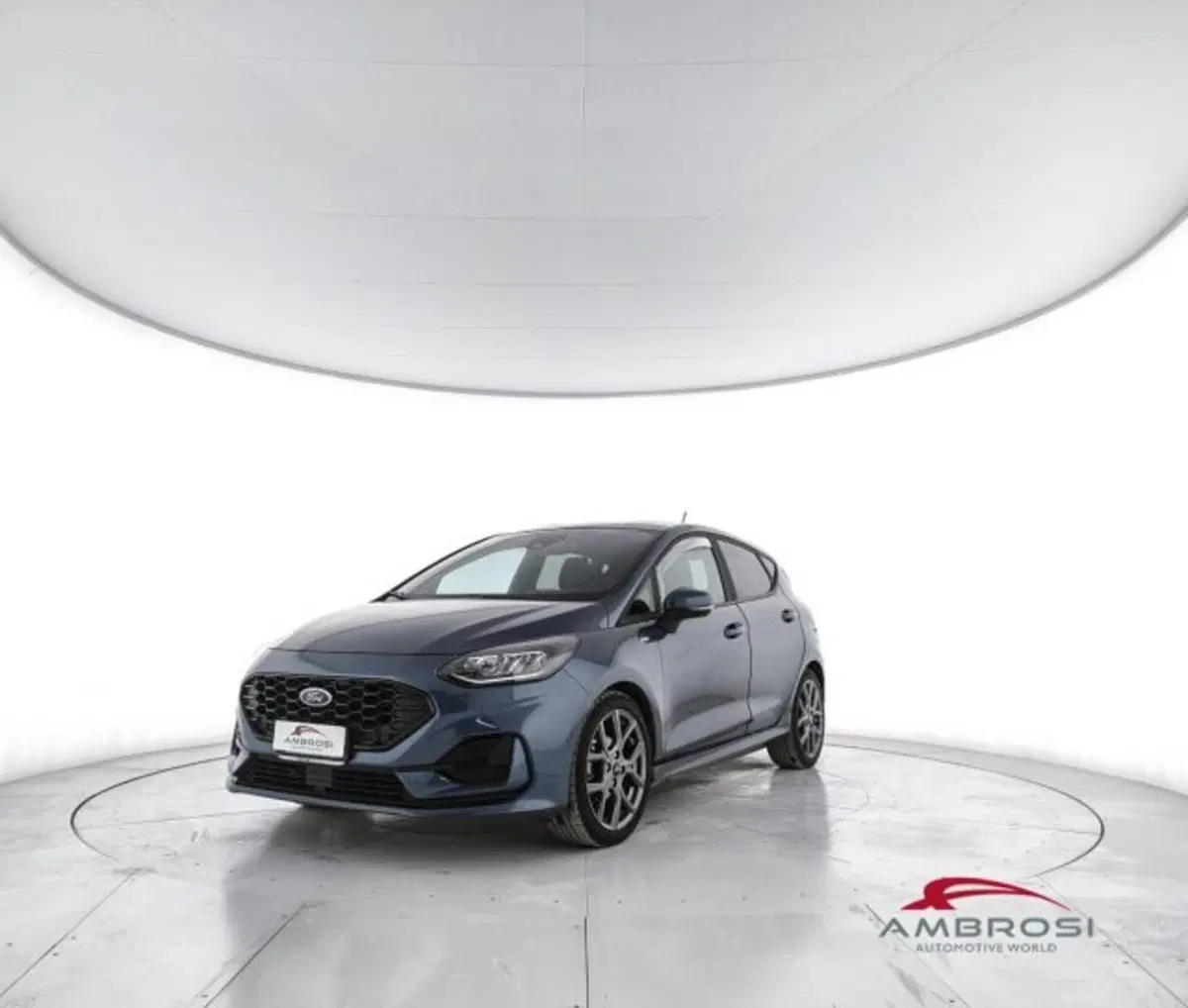 Ford Fiesta usata a Perugia