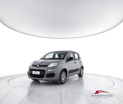 Fiat Panda 1.2 EasyPower del 2020 usata a Corciano
