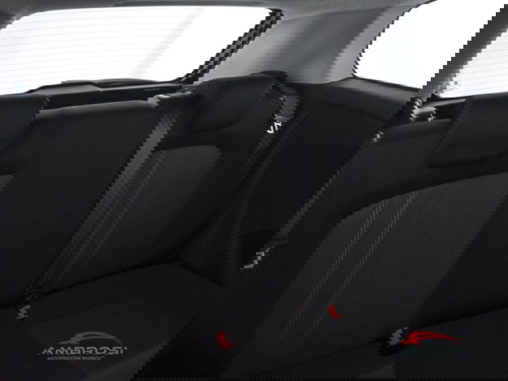 Fiat Punto usata a Perugia (11)