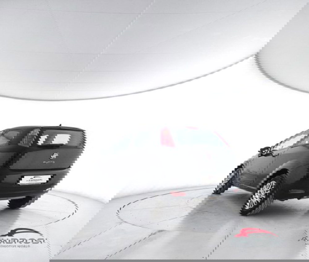 Fiat Punto usata a Perugia (4)