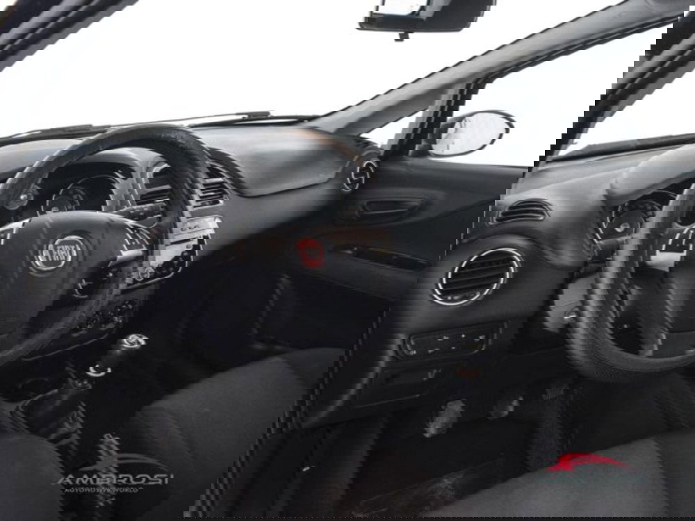 Fiat Punto usata a Perugia (8)