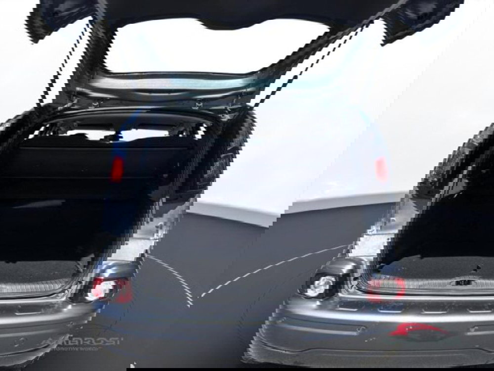 Citroen C3 Picasso usata a Perugia (9)