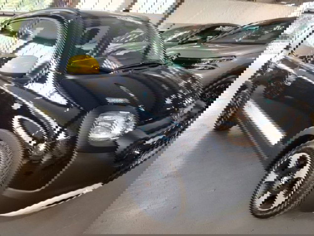 Fiat Panda usata a Forlì-Cesena