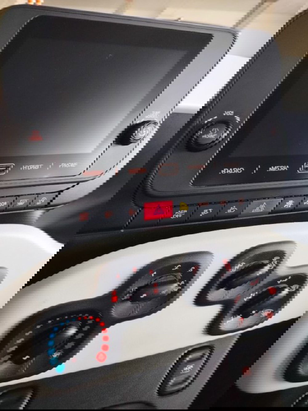 Fiat Panda usata a Forlì-Cesena (20)