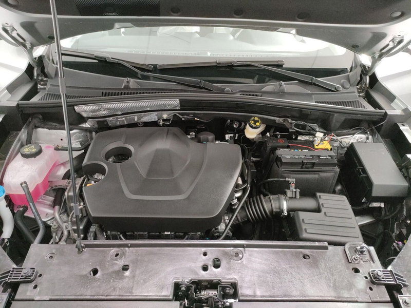 Mg ZS (2001-2005) nuova a L'Aquila (10)