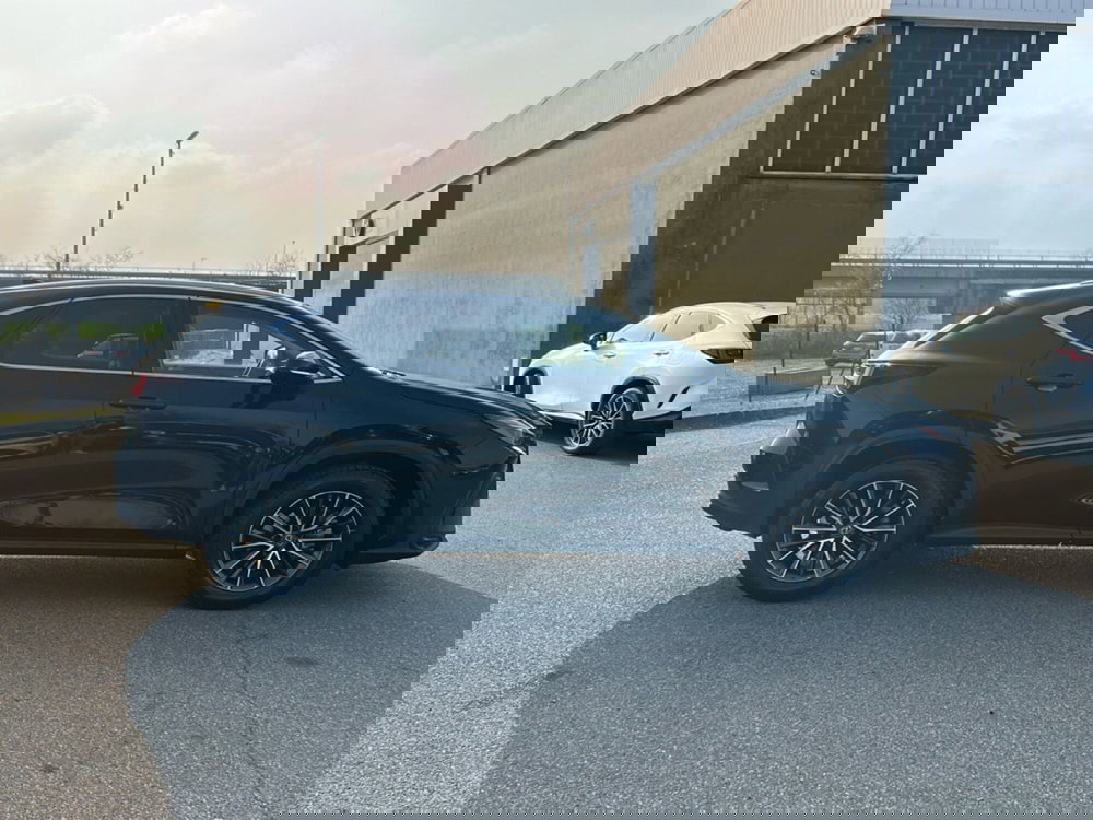 Lexus NX usata a Piacenza (7)