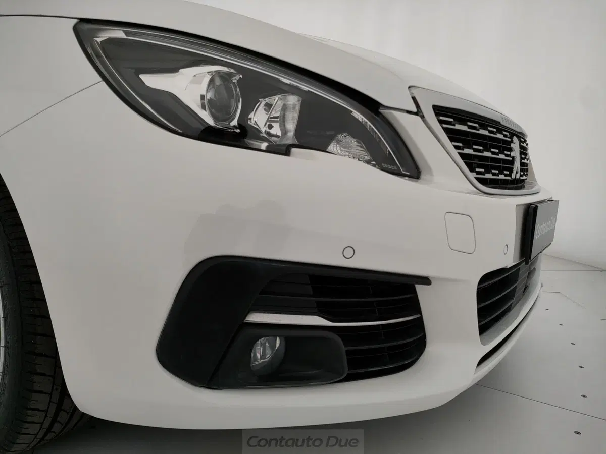 Peugeot 308 SW usata a Caserta (19)