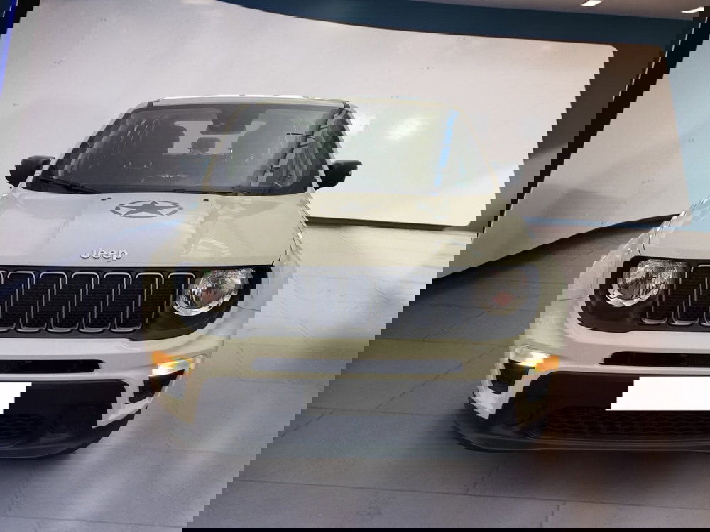 Jeep Renegade usata a Torino