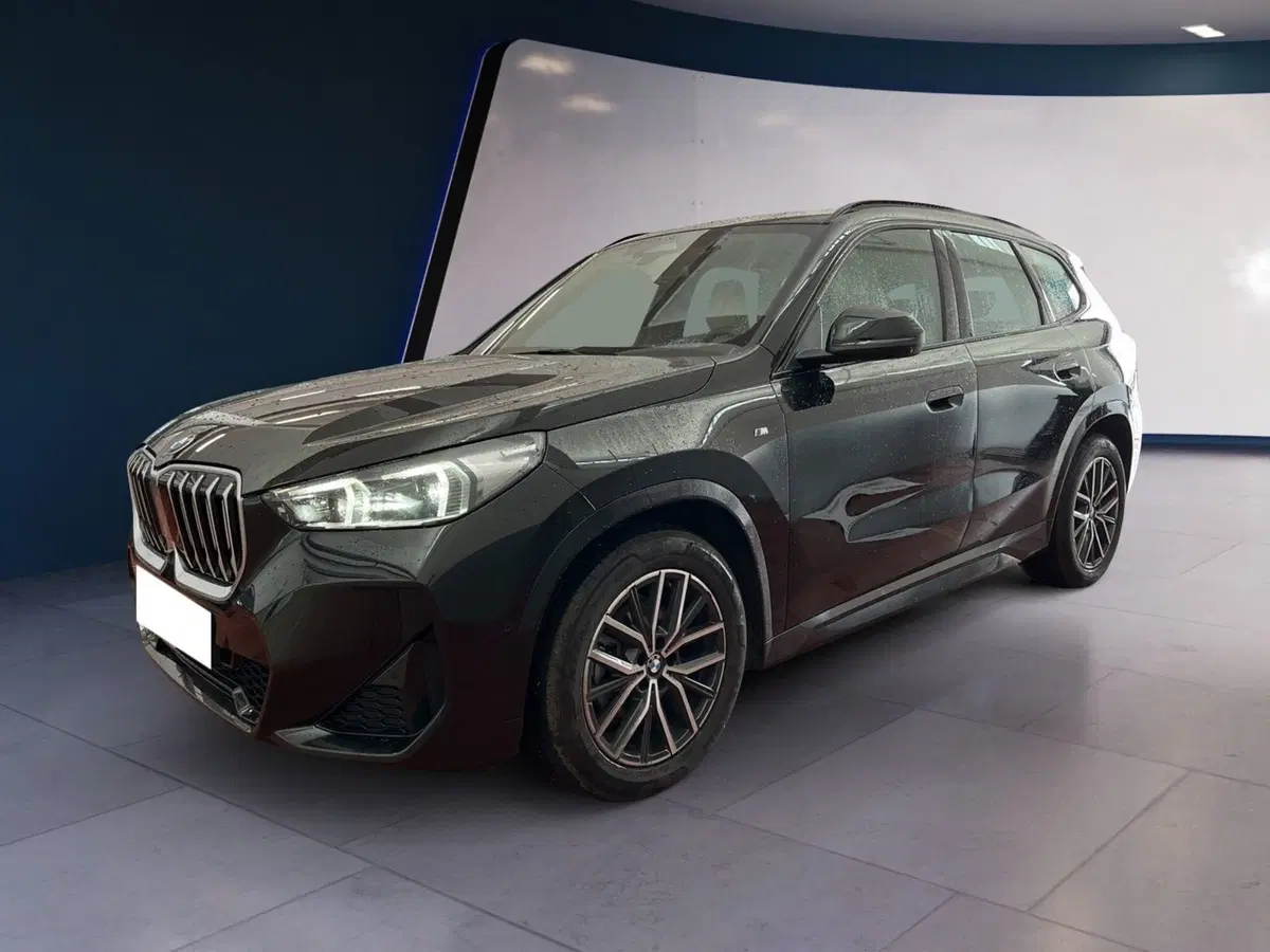 BMW X1 usata a Torino (2)