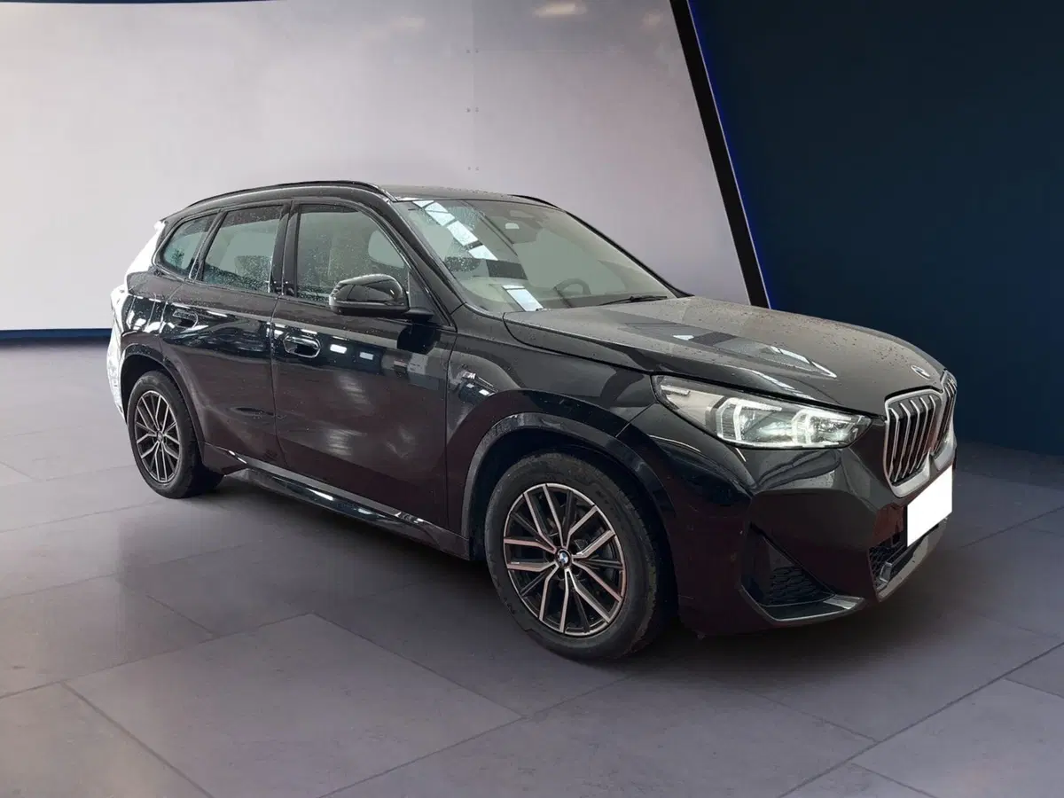 BMW X1 usata a Torino (3)