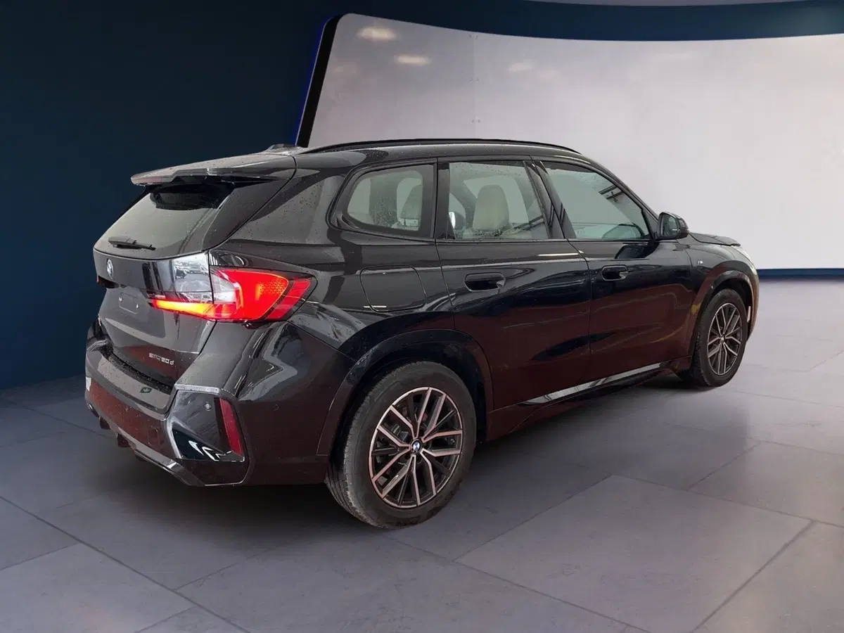 BMW X1 usata a Torino (4)