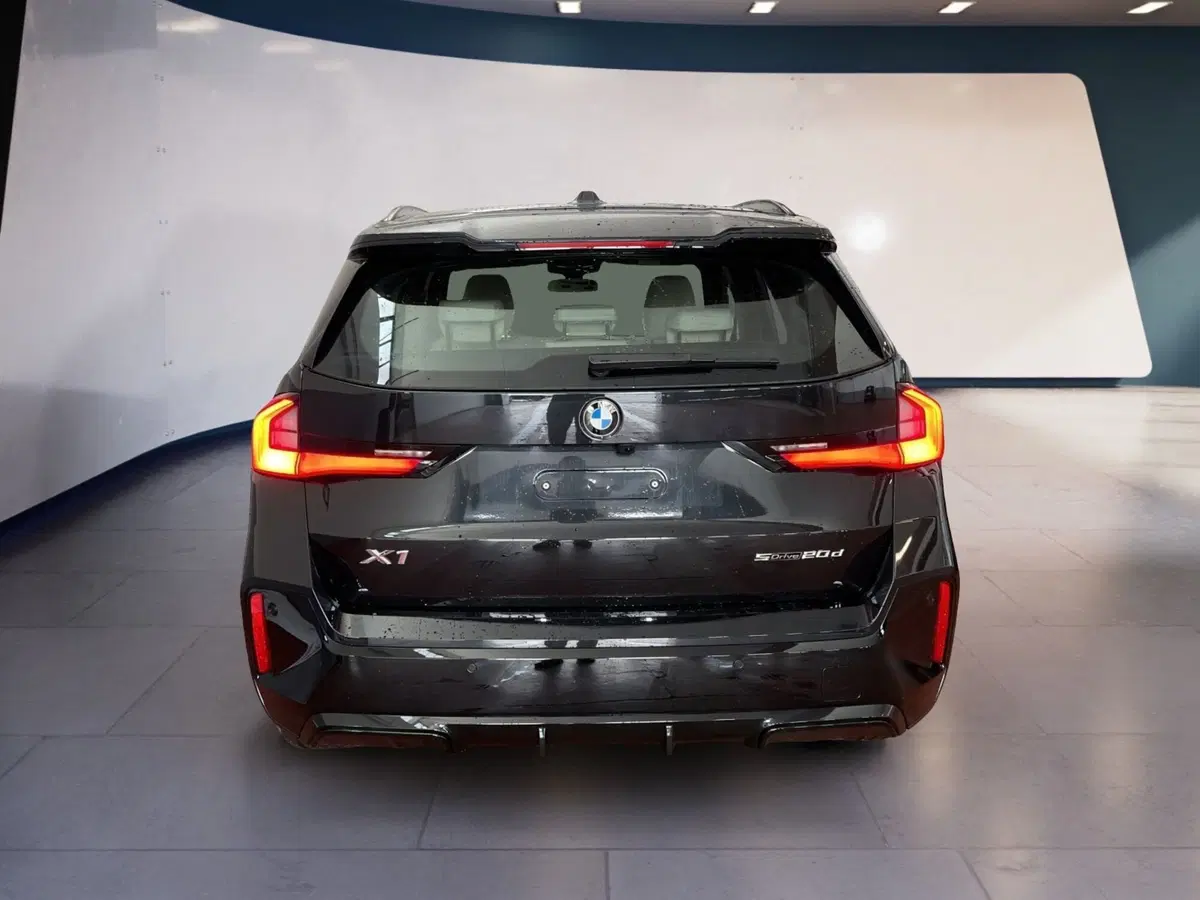 BMW X1 usata a Torino (5)