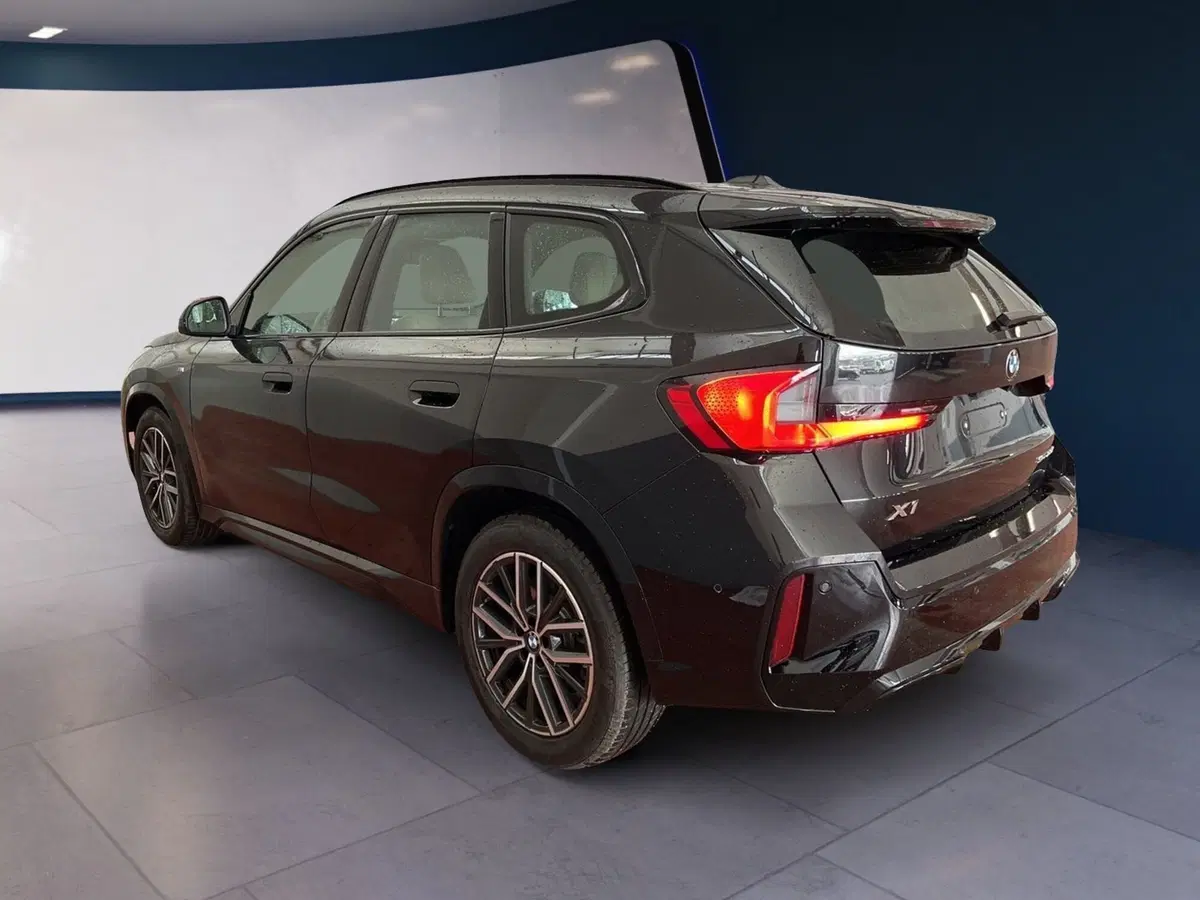 BMW X1 usata a Torino (6)