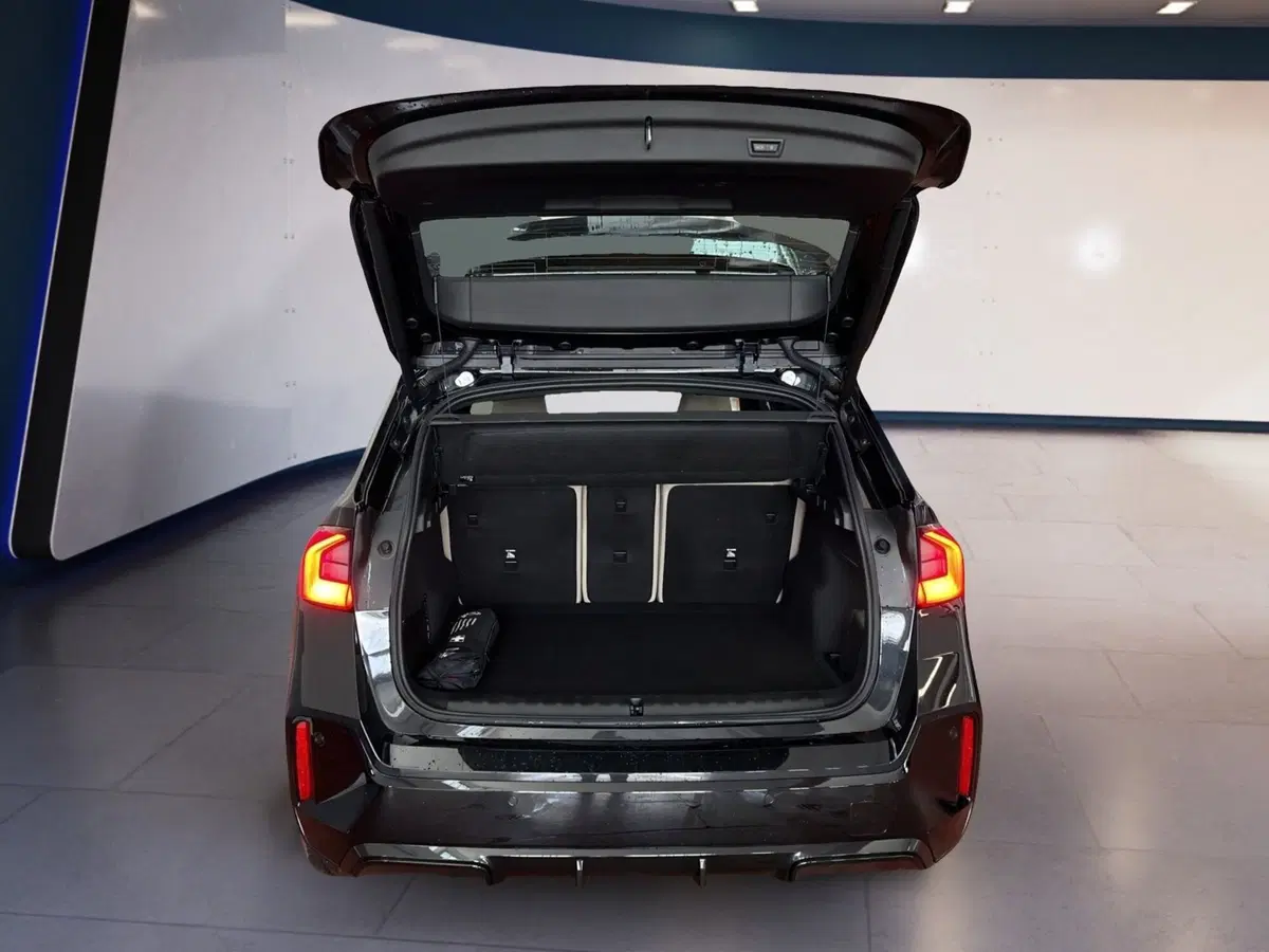 BMW X1 usata a Torino (7)