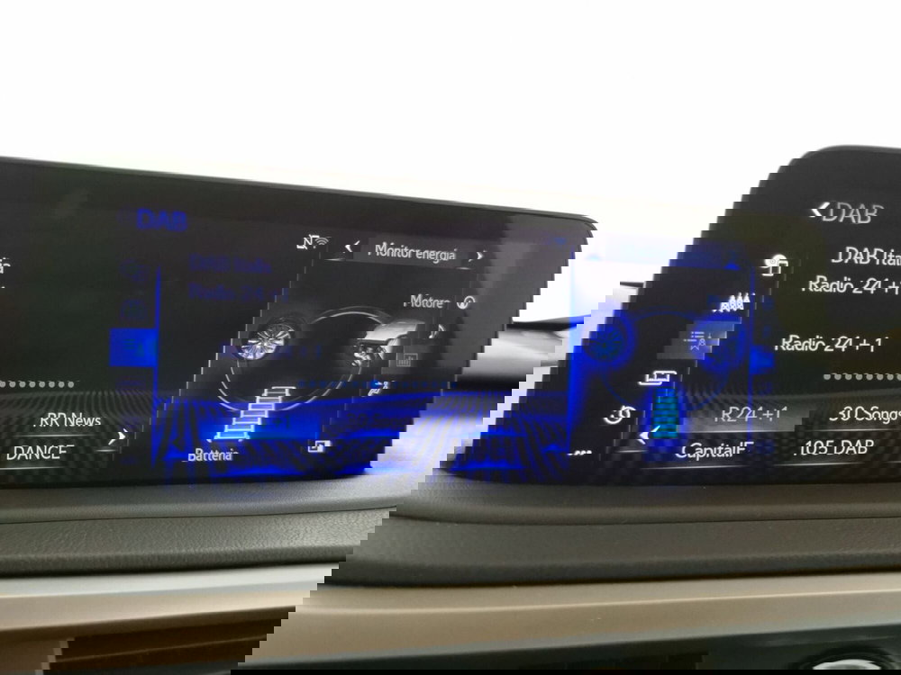 Lexus RX usata a Chieti (14)