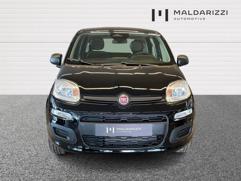 Fiat Pandina nuova a Bari (2)