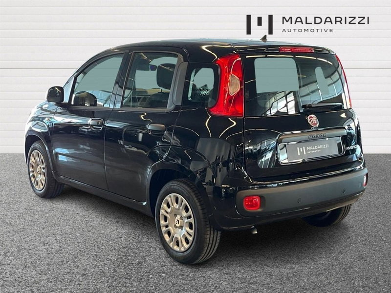 Fiat Pandina nuova a Bari (4)