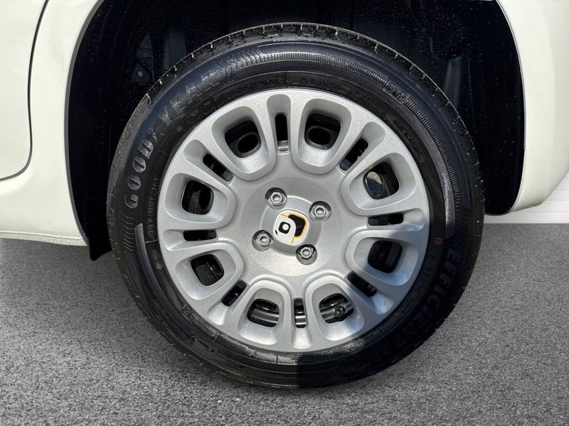 Fiat Pandina nuova a Foggia (6)