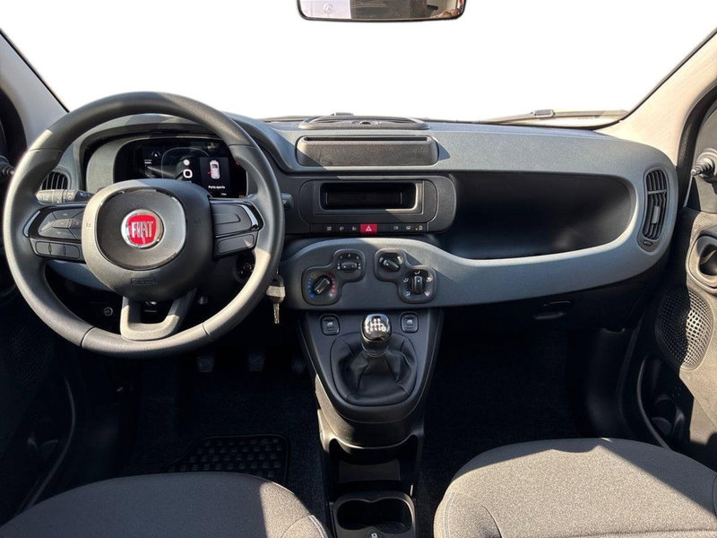 Fiat Pandina nuova a Foggia (8)